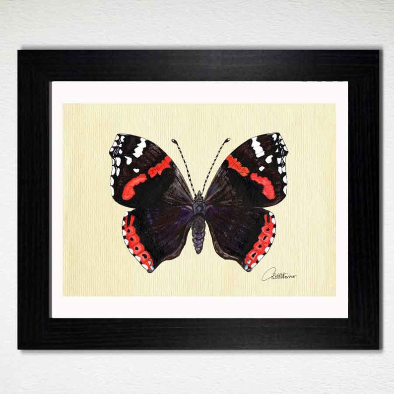 Butterfly Picture Butterfly Wall Art Butterfly Painting | Etsy