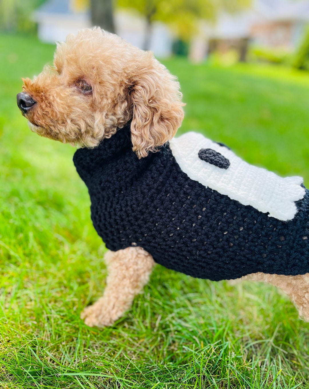 Halloween Dog Sweater Crochet Dog Sweater Crochet Sweater Etsy