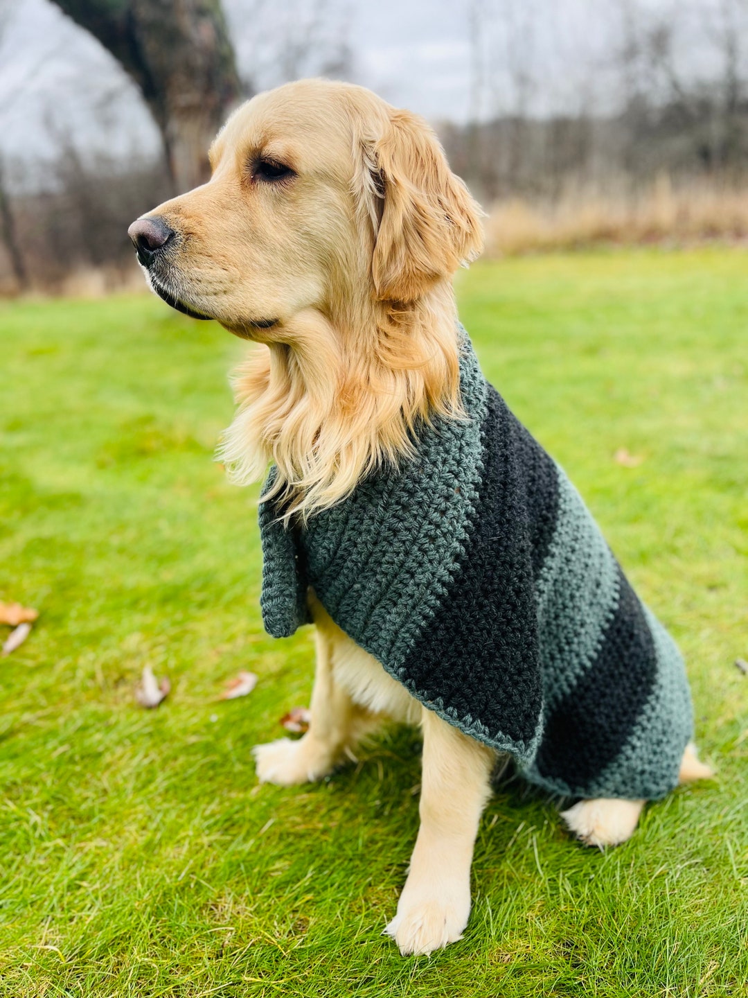 Crochet Dog Sweater Crochet Dog Jacket Crochet Dog Hoodie Etsy