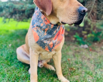 mossy oak dog clothes