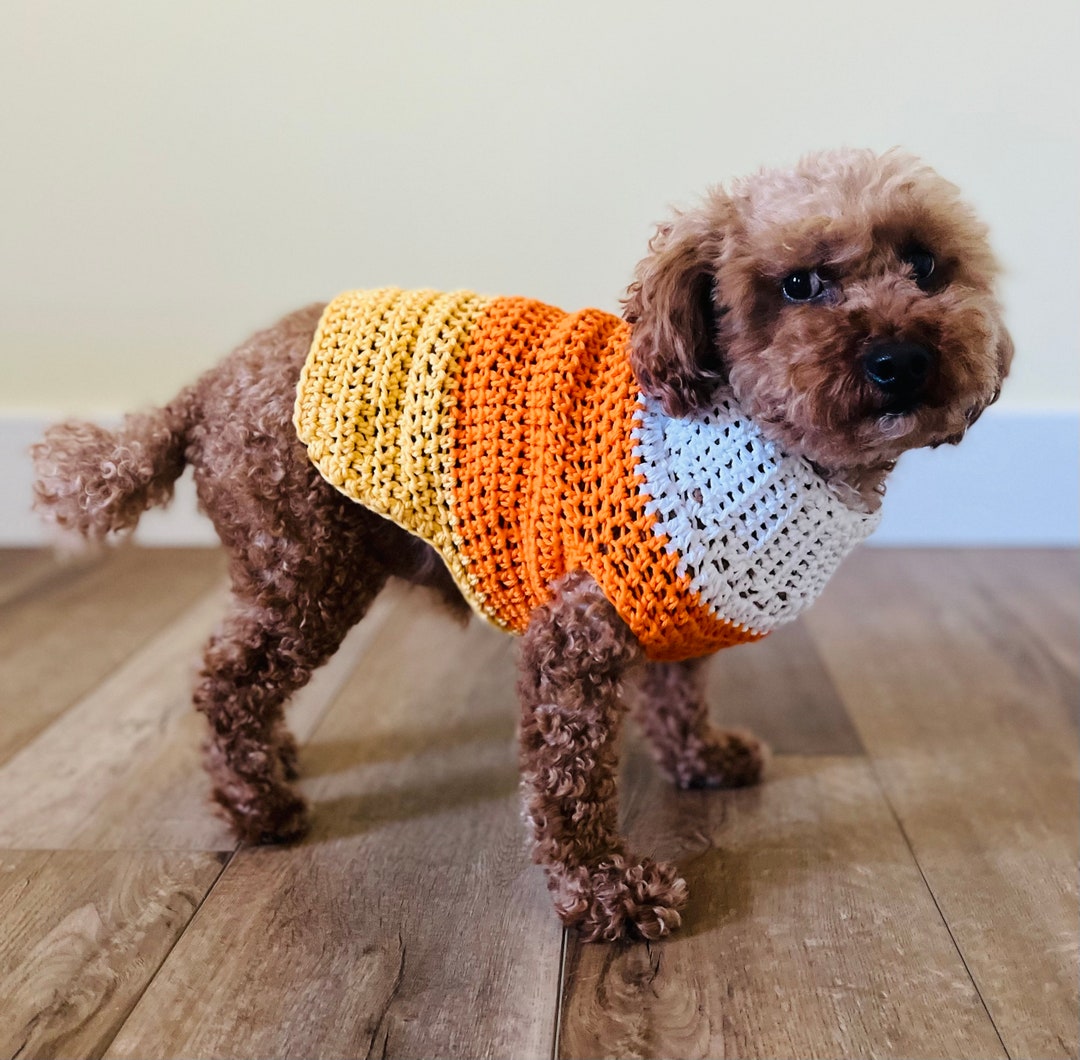 Dog Sweater Dog Clothing Crochet Sweater Candy Corn Dog Etsy