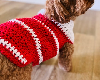 Crochet Sweater for Dog, Crochet Sweater for Pet, Crochet Sweater, Crochet Dog Sweater, Crochet Pet Sweater, Holiday Pet Sweater, Crochet