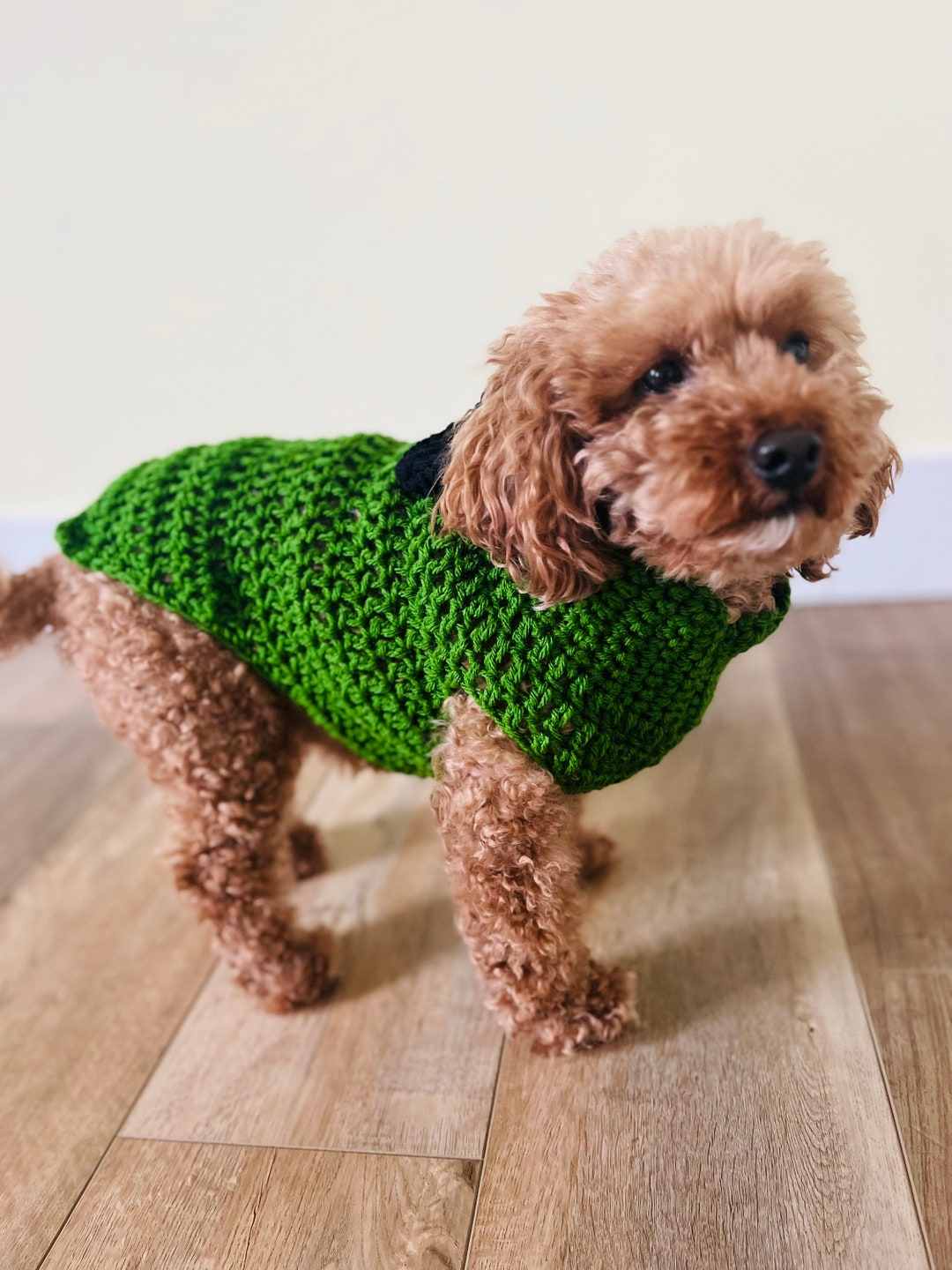 Green Dog Sweater
 Green Dog Sweater Crochet Dog Sweater Crochet Pet Jumper Crochet