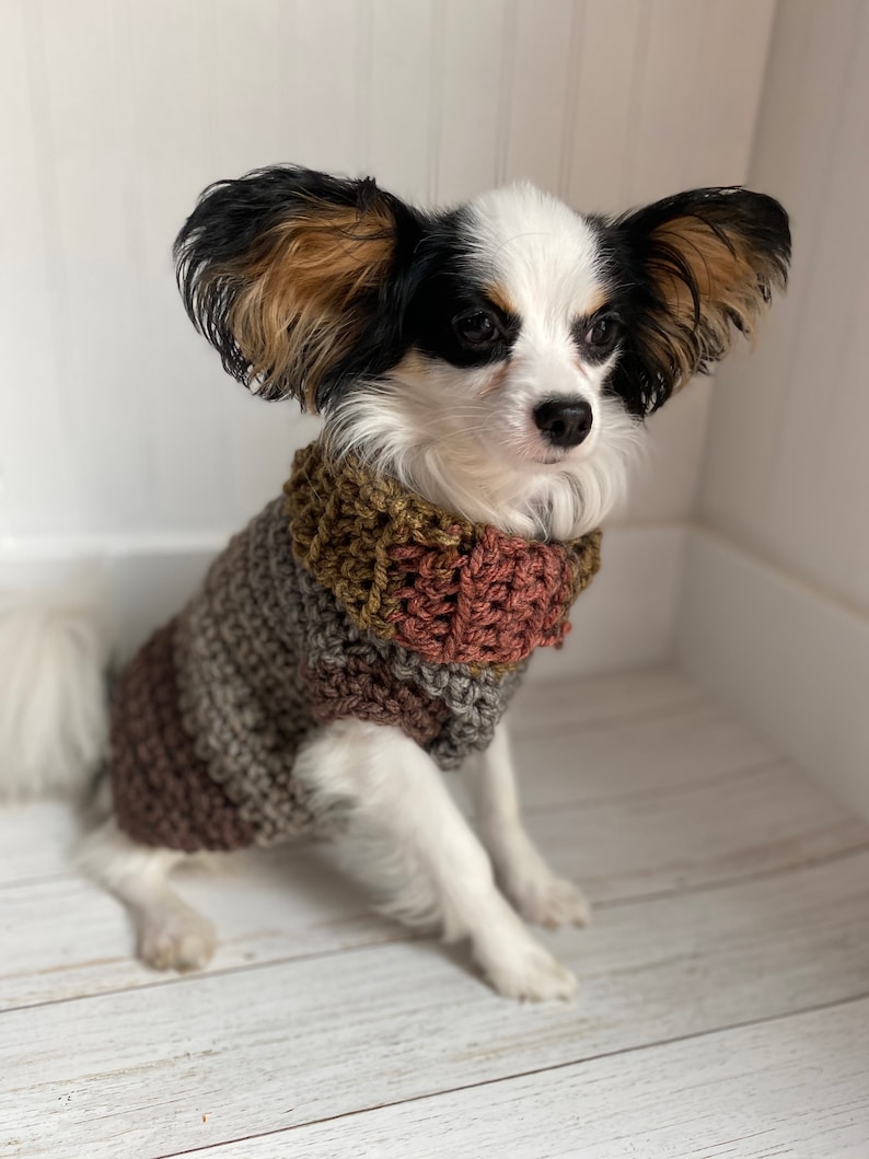 Crochet dog sweater, Crochet dog jumper, Crochet pet sweater, Crochet pet jumper, Crochet sweater, Crochet jumper, Crochet Pet Clothing image 1