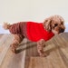 see more listings in the Crochet Pet Sweaters section