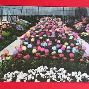 Jahrgang Hand farbige Postkarte, Irwin M Krohn Wintergarten, Eden Park, Cincinnati, Ohio, schöne 1930er Jahre Postkarte Sammler