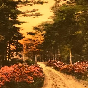 Vintage handkolorierte Postkarte, schöne Ansicht der Toby Hill Road, Westbach, Conn, 1930er Jahre Postkartensammlerstück
