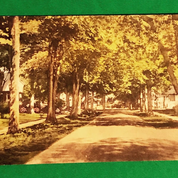 HC15, Vintage Hand Colored Postcard, A View of Maple Avenue In Doylestown, Pennsylvania, Lovely View Postcard