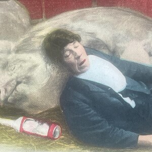 Peut inclure: Carte postale vintage colorisée représentant une personne dormant à côté d'un gros cochon. La personne porte une veste sombre et une chemise blanche. Une bouteille rouge et blanche est posée sur la paille. Le fond est un mur de briques rouges.