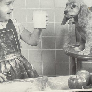 PO20G, Antigüedad, Retrato, Postal, Linda niña con cachorro, Liga de animales de la costa norte