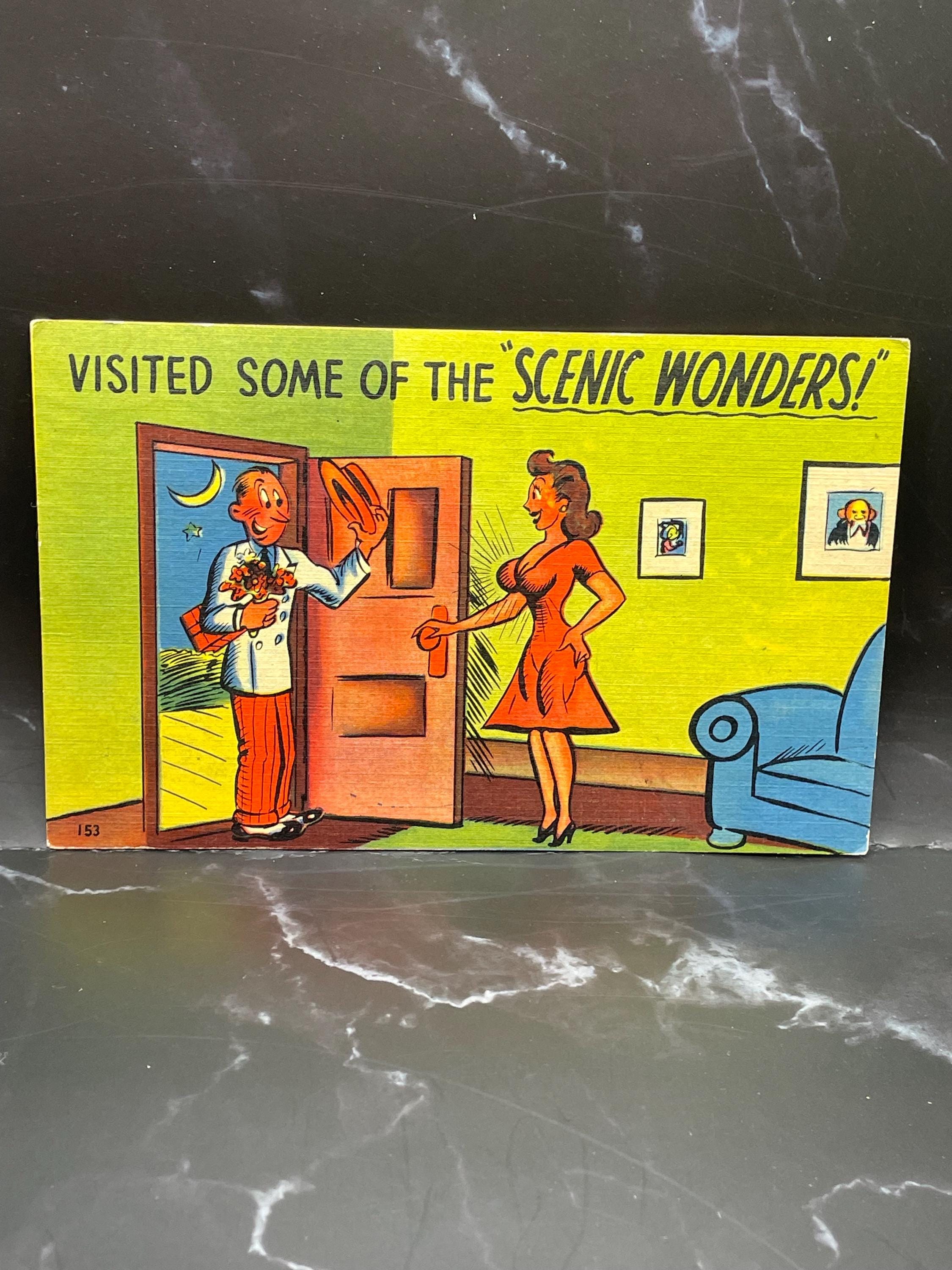 Vintage Humor Postcard: 