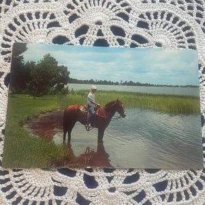 VW66G, FLORIDE, vintage, vue, carte postale, équitation au bord du lac Jackson, Sebring, Floride