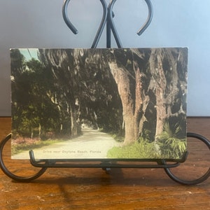 HK48G, Vintage, FLORIDA, handkoloriert, Postkarte, Autofahrt in der Nähe von Daytona Beach, Alberttype