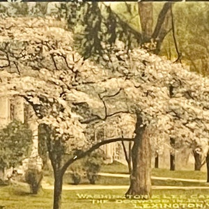 HC58G, Vintage handkolorierte Postkarte, Washington and Lee Kindergarten, Lexington, Virginia, Alberttype