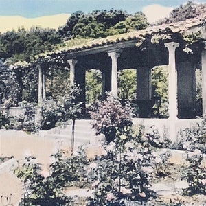 carte postale colorée de main de cru, gamme de San Lucia, roses dans le jardin de colline