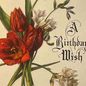 BD57G, seltene antike, geprägte Geburtstagspostkarte, ein Geburtstagswunsch. Geburtstags-Vers, Landhaus-Ansicht, rote weiße Blumen, USA