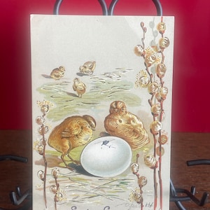EA77G, cartolina di Pasqua antica leggermente in rilievo, auguri di Pasqua, cinque pulcini gialli, salici