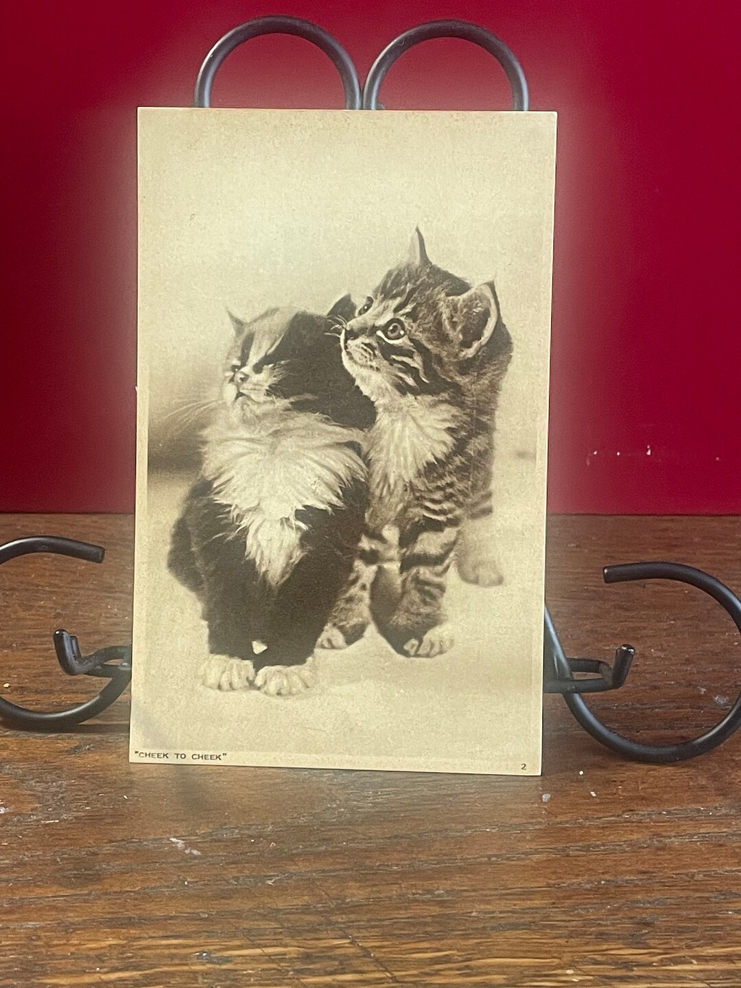 AP2G, Vintage, Animals, Pets, Postcard, Cheek to Cheek, Two Cute Little