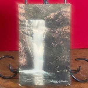 HK21G, PENNSYLVANIA, Vintage, handkolorierte Postkarte,Lower Buck Hill Falls, Alberttype
