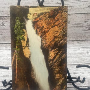HC73G, Vintage, COLORADO, handkoloriert, Postkarte, Bear Creek Falls, Ouray, Alberttype