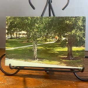 VW62G, FLORIDE, vintage, vue, carte postale, Circle Park, Sebring, paysages d'Oucane