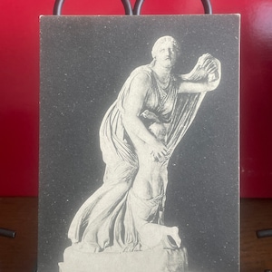 May include: Black and white photograph of a marble statue of a woman holding a child. The statue is titled "Firenze - R. Gall. Uffizi - Niobe madre".