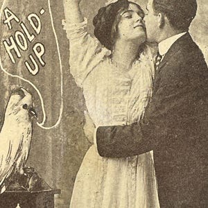 RO3 G, antiquité, gaufrage, carte postale romantique, A hold up, embrasser les amoureux, perroquet blanc
