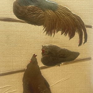 EA18G, rare, vintage, carte postale de Pâques, voeux de Pâques, coq et poules perchés en relief or, pub PFB, Allemagne