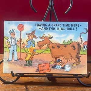 OH2G, Vintage, alter Humor, Postkarte, die eine großartige Zeit hier hat, und dies ist kein Stier, Tichnor Brothers, Boston