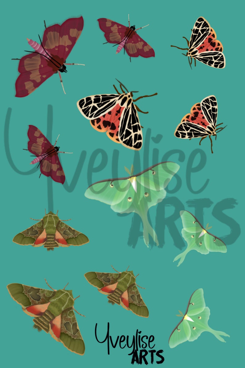 Different Moth Patterns Moth Stickers (sheet of 12) - Printable! - Etsy