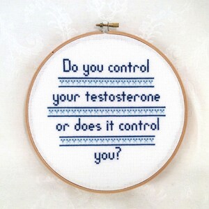May include: A white embroidery hoop with the text "Do you control your testosterone or does it control you?" in blue lettering.