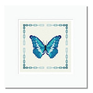 Puede incluir: Una mariposa azul con marcas blancas está centrada en un marco blanco con un borde azul y verde.