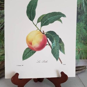 P. J. Redoute Peach Botanical Print: Vintage La Pêche Wall Art (Frame Not Included) Bild 8