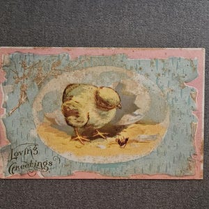 May include: A vintage postcard with a pastel blue and pink background featuring a yellow chick with brown markings standing in a nest. The text "Loving Greetings" is printed in the bottom left corner.