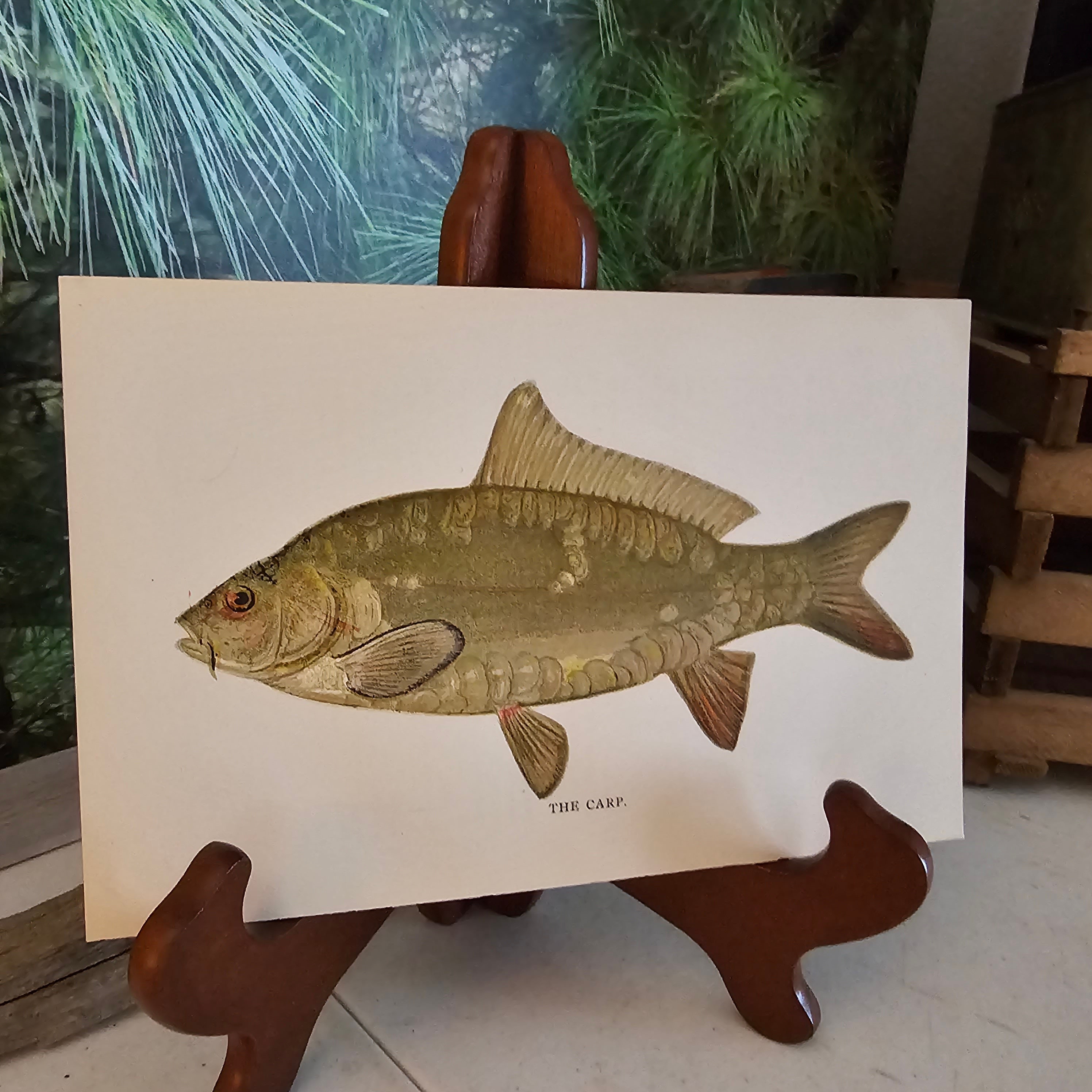 Chromolithographie Originale Sherman F DENTON "Le Poisson Bleu" - Encadrée, Vintage