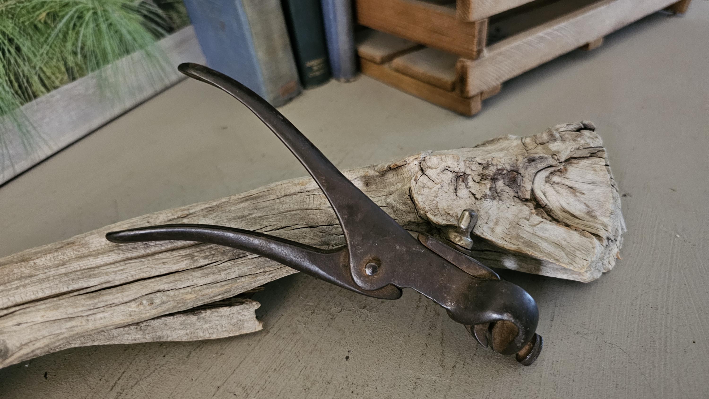 Morrill Hand Tools Antique Morrill's Brand Saw Set Tool #4955RY - Etsy