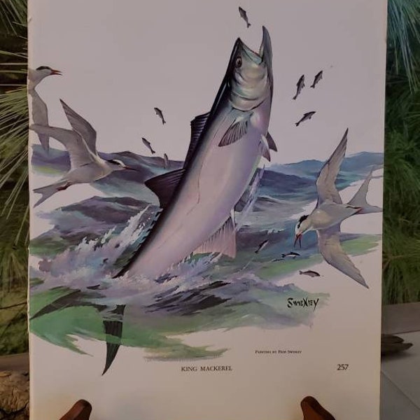 1970 Fred Sweney King Mackerel & Cobia Signed Bookplate Vintage Color Fish Art Wall Decor  #257/258