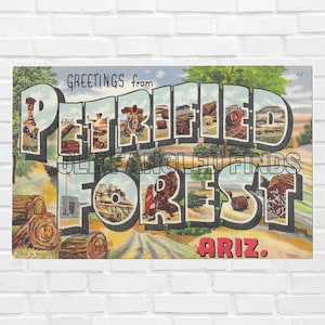 Digitaler Download Große Buchstaben Grüße aus PETRIFIED FOREST, ARIZONA Postkarte Digitale Postkarte Kunst Handwerk Scrapbooking Versorgung Memory Wall