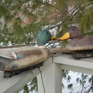 May include: Two realistic-looking duck decoys, one green and brown and the other brown with a yellow beak, are perched on a wooden railing. The decoys are used for hunting.