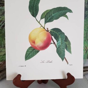 K&ouml;nnte beinhalten: Ein botanischer Druck auf wei&szlig;em Papier mit einem einzelnen Pfirsich mit gelber und roter Schale, der an einem braunen Zweig mit mehreren gr&uuml;nen Bl&auml;ttern h&auml;ngt. Der Text "La P&ecirc;che" steht unter der Frucht, sowie kleiner Text in den Ecken.