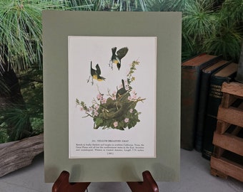 1950s John James Audubon Yellow Breasted Chat & Wilson's Warbler Color Book Plate (Mat Not Included) Double Sided