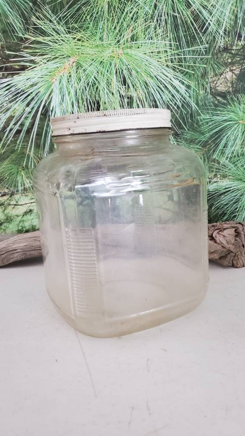 May include: A clear glass jar with a white lid. The jar has a square shape and a textured surface.