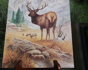 Elk In The Field Severt Andrewson Original Wildlife Bookplate 1978 Frameable Wall Art Vintage Home Decor