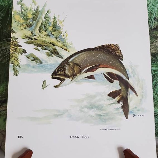 Fred Sweney Brook Trout & Chinook Salmon Signed Bookplate / Vintage Color Fish Art Wall Decor Gift For Him  #105-106