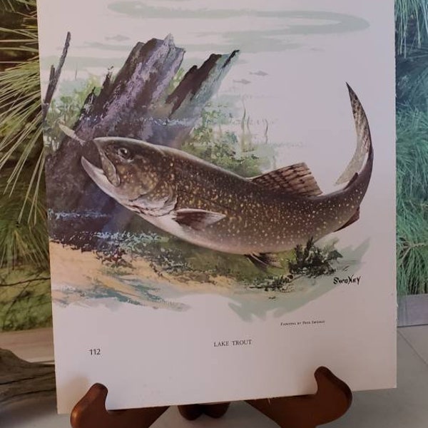 Lake Trout Sweney & Bob Hines 1972 Signed Double Sided Book Plate / Vintage Color Fish Wall Art