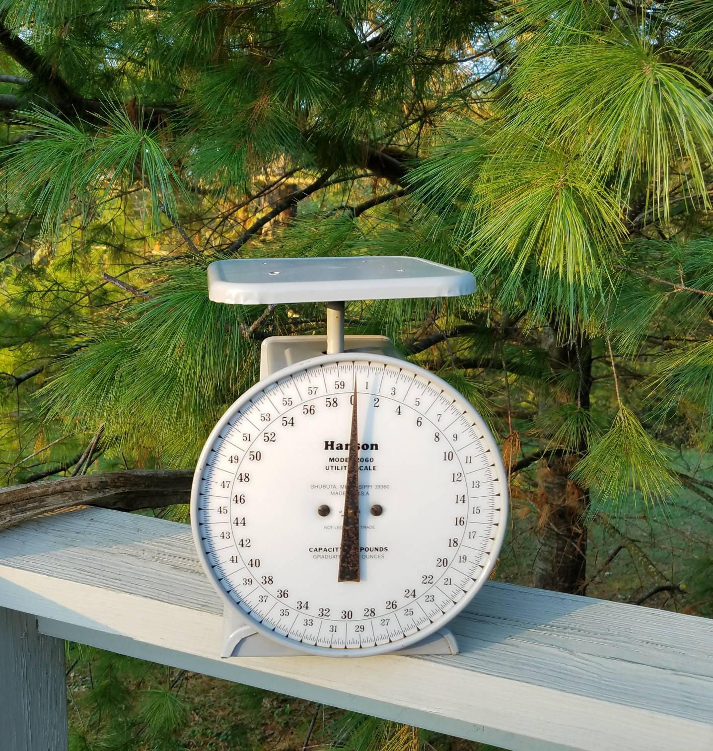 Industrial Hanson 60 LB Scale Model 2060 Gray Metal Industrial