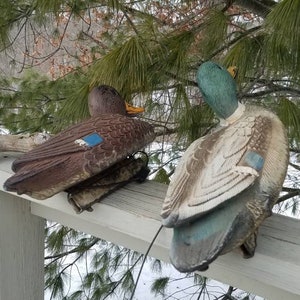 May include: Two realistic-looking duck decoys, one brown and one with a green head and brown and white body, are perched on a wooden railing. The decoys are used for hunting.