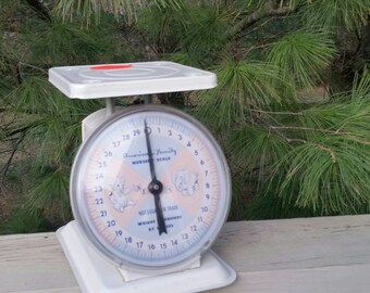 Vintage American Family Nursery Scale, White Scale With Blue and