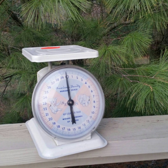 American Family Nursery Scale Pink & Blue / 1950'… - image 1