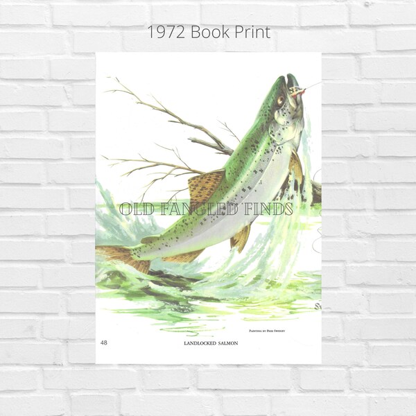 Fred Sweney Landlocked Salmon Digital Download of 1972 Signed Book Plate / Instant Download Printable Fish Art